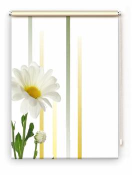 Rollo Margarete linia links, Rollo, Motivrollo, Rollo mit Druck, Fotorollo, bedrucktes Rollo, Fensterrollo,verdunkelndes Rollo, Sonnenschutz Rollo